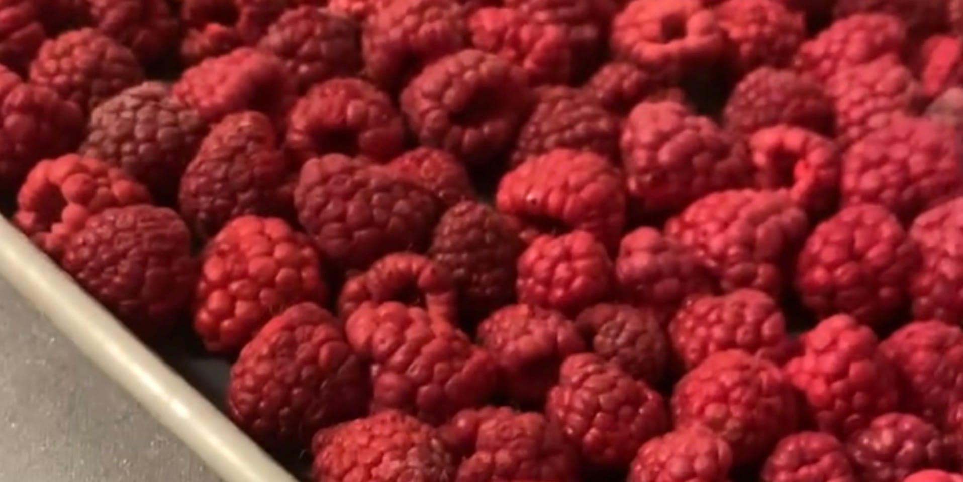 Finished freeze-dried raspberries after completing the drying cycle.